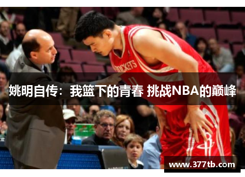 姚明自传：我篮下的青春 挑战NBA的巅峰