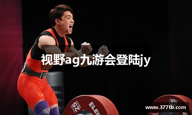 视野ag九游会登陆jy